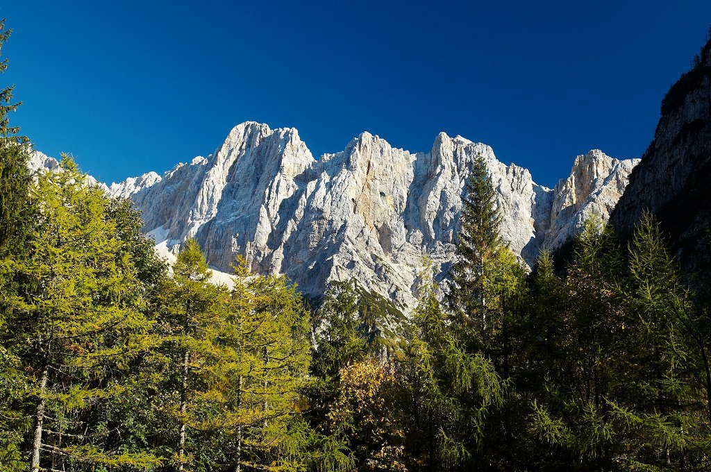 Naslovnica knjige_foto_Tomo Jesenicnik