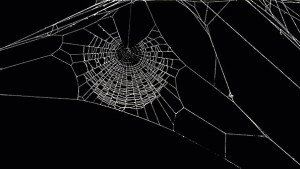 .spider_webt3.thumb-300x169.jpg